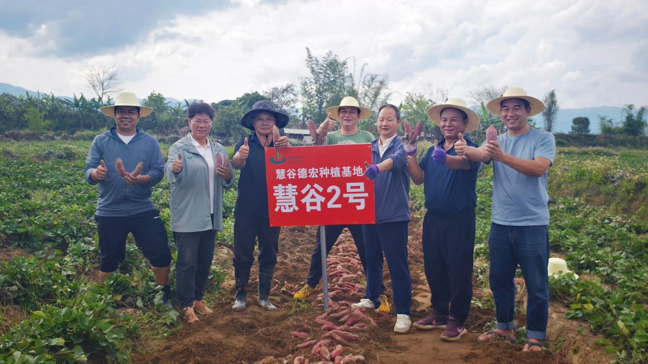 k��Ǯ�� - ����