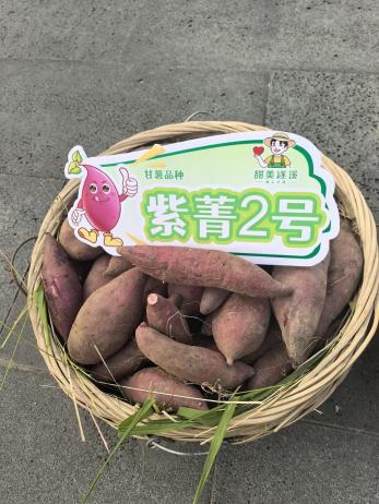 k��Ǯ�� - ����